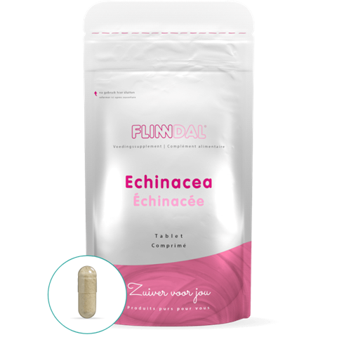 Echinacea