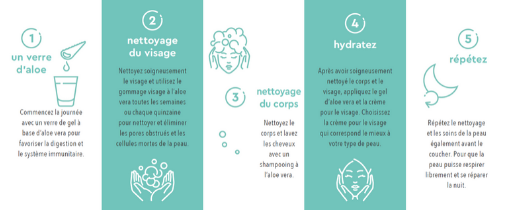 Purasana Aloe Vera Dagroutine