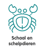 Schaal schepdieren